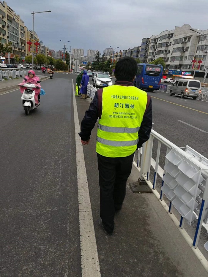 江蘇新阜寧大橋護欄綠化工程現(xiàn)場施工圖