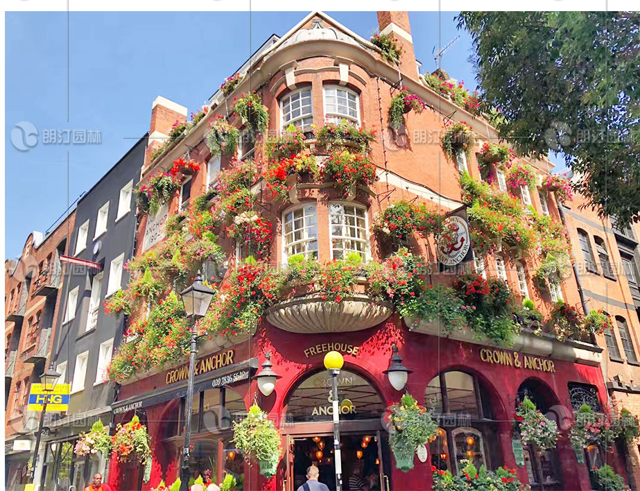 窗臺(tái)陽(yáng)臺(tái)吊盆使用效果