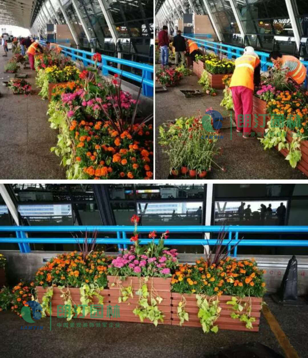 微信圖片_20171219150851