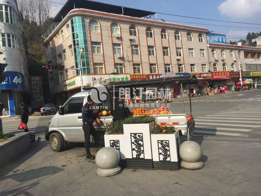街口的“君子”藝術(shù)花箱