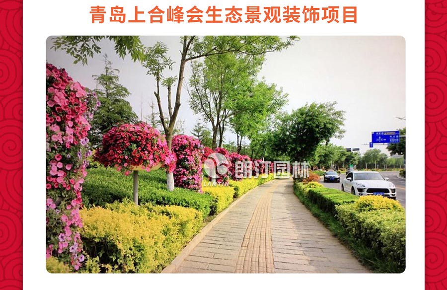青島商河峰會(huì)道路立體綠化