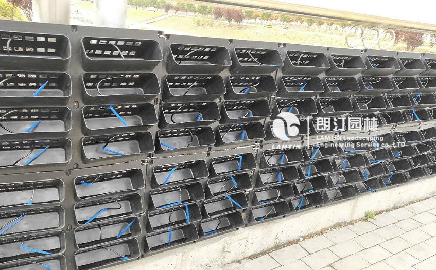 朗汀護欄綠化植物墻亮相平頂山