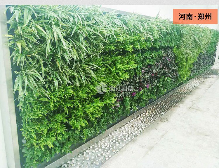 植物墻花盆廠家