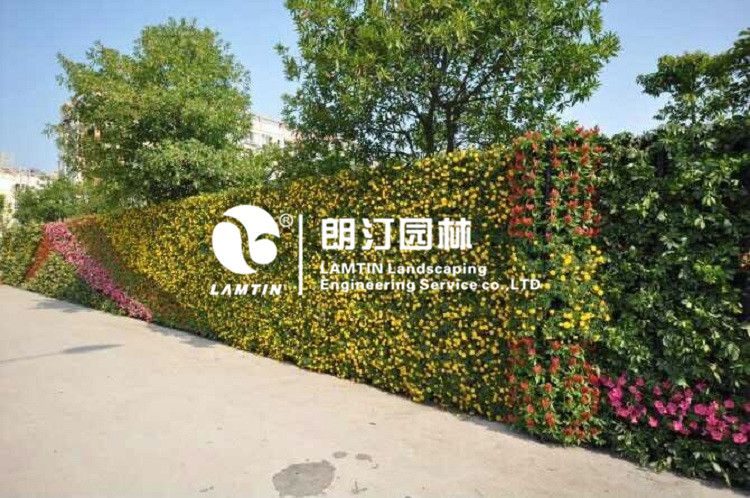  垂直墻體綠化花盆
