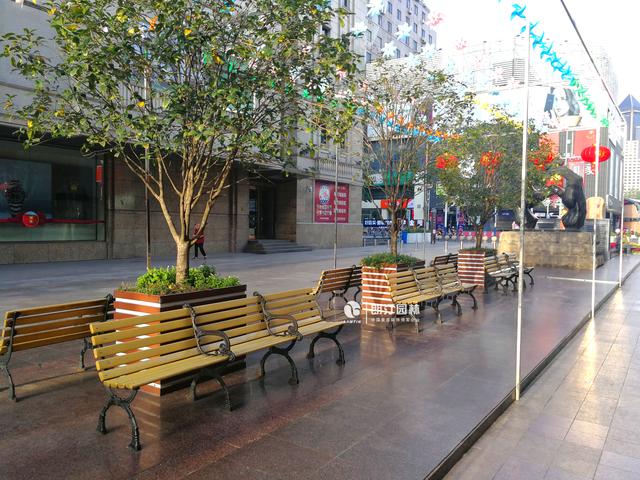 厲害了，花箱扮美的合肥步行街！