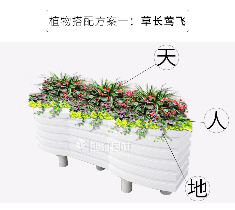 波浪藝術(shù)花箱植物搭配方案 草長(zhǎng)鶯飛