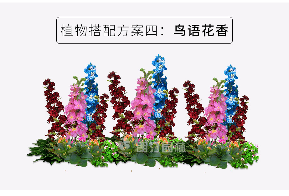 路兩邊景觀花箱植物搭配方案鳥語花箱