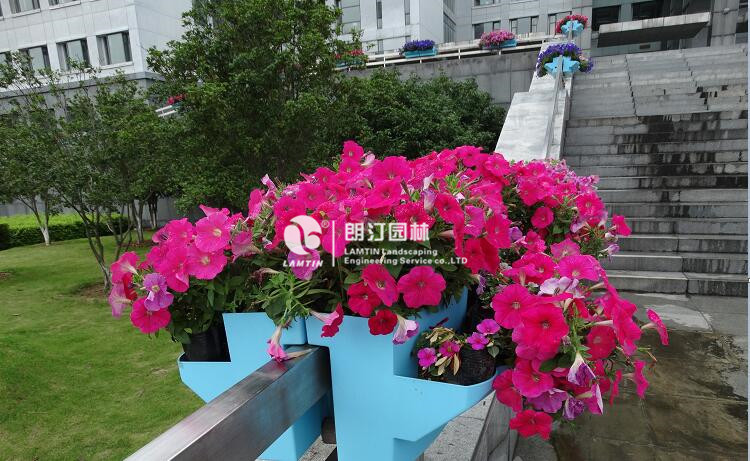 護欄花盆使用案例