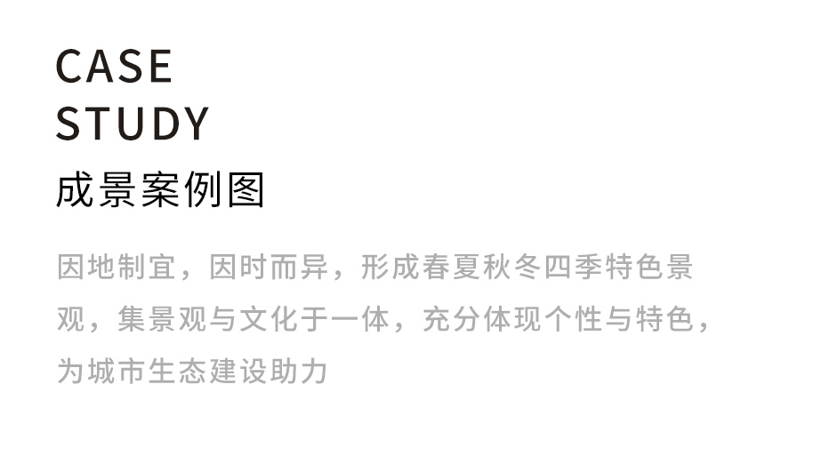 樹圍藝術花箱_20