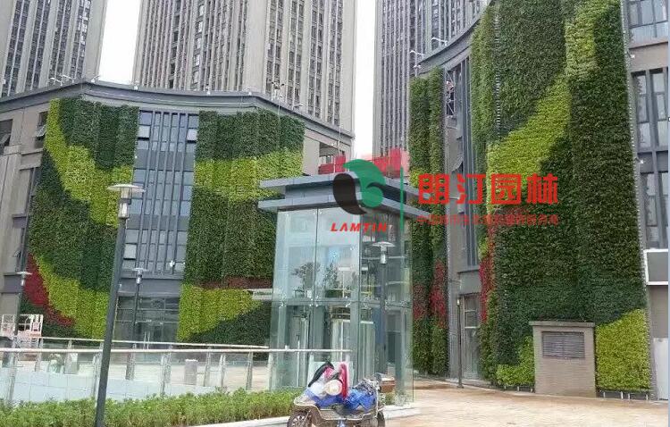 墻體垂直綠化經(jīng)典案例