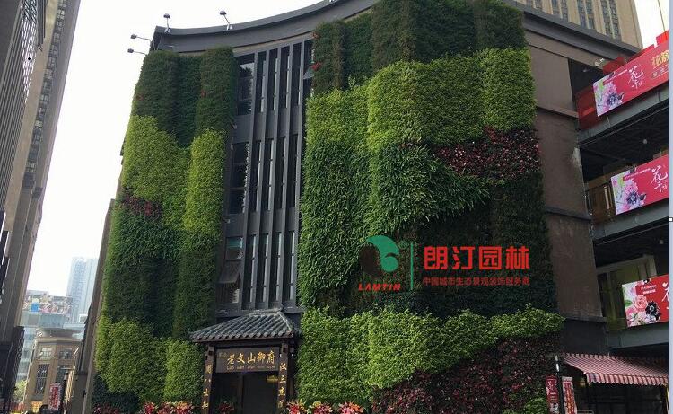 云南植物墻案例圖