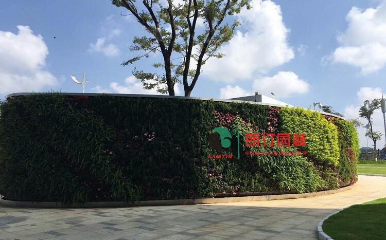 云南植物墻案例圖