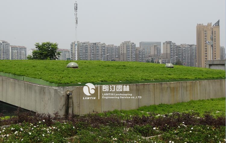 屋頂綠化工程案例