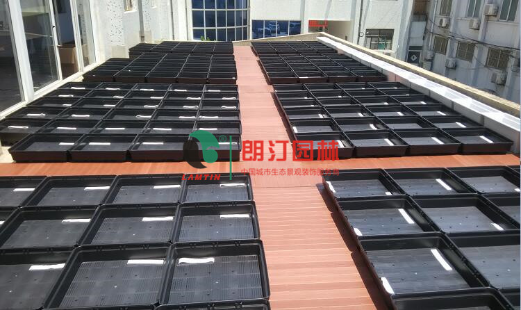 江蘇徐州豐縣屋頂綠化案例