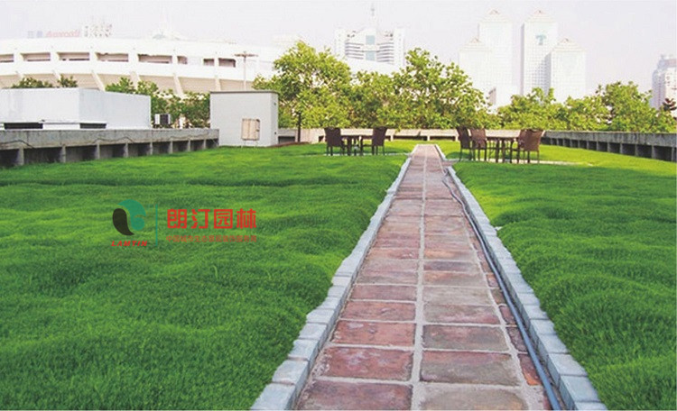 江蘇徐州豐縣屋頂綠化案例