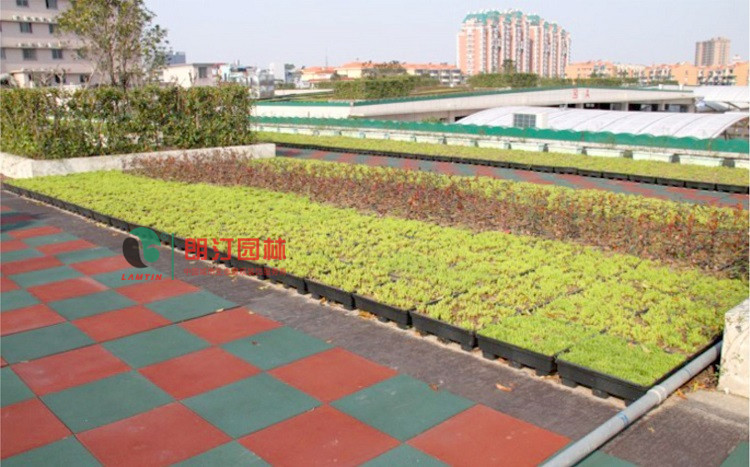 住宅樓房露臺(tái)綠化案例