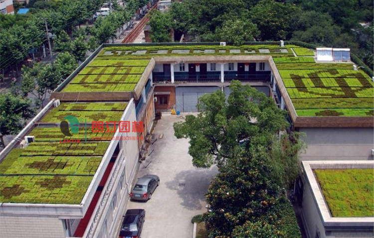 江蘇徐州豐縣屋頂綠化案例