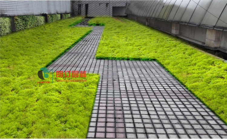 江蘇徐州豐縣屋頂綠化案例