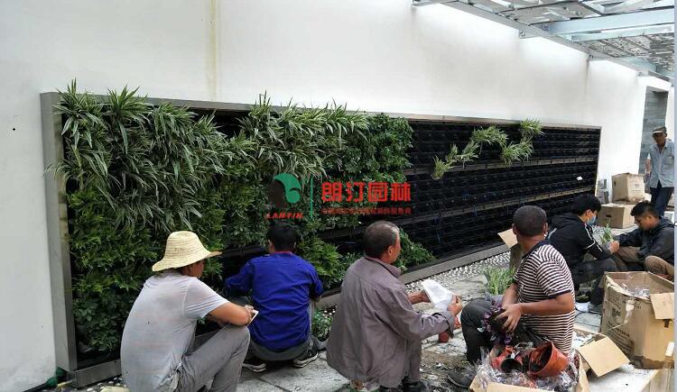 鄭州園博會(huì)植物墻案例