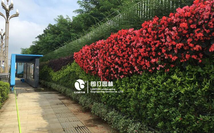 貴州貴陽垂直綠化植物墻工程案例