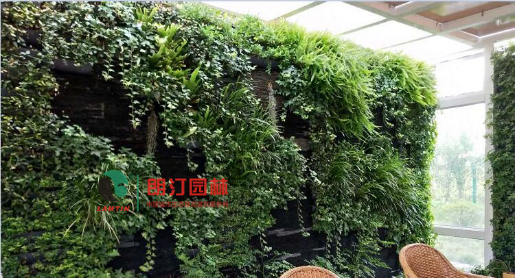 3朗汀園林室內植物墻綠化工程