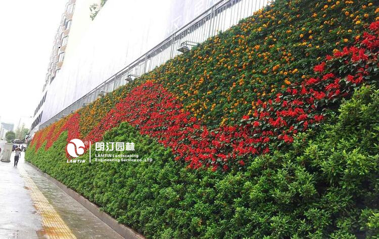 朗汀園林垂直綠化工程案例