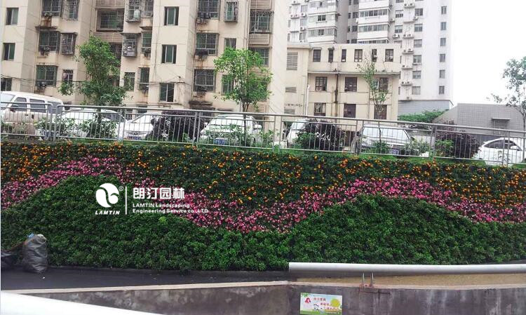 垂直綠化一站式服務(wù)商