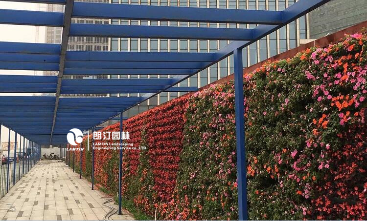 朗汀園林垂直綠化工程案例