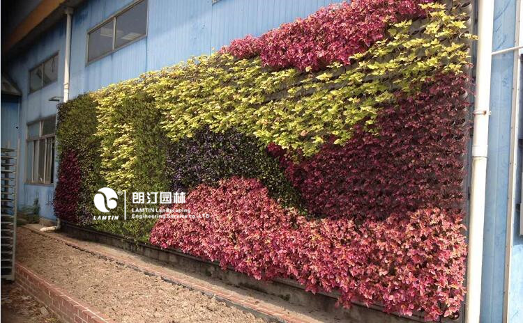 朗汀園林垂直綠化工程案例