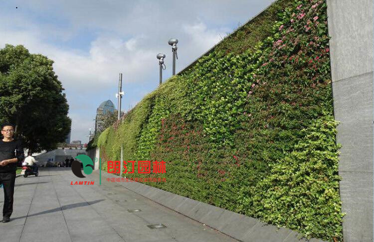 墻面立體綠化案例
