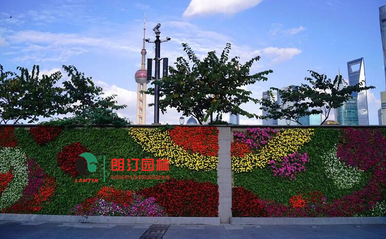 墻面立體綠化案例