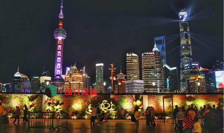 墻面立體綠化案例