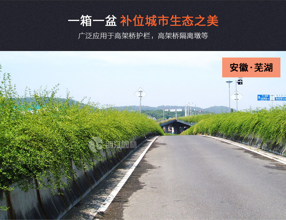 高架橋掛式花盆