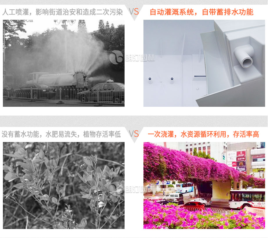 高架橋綠化植物