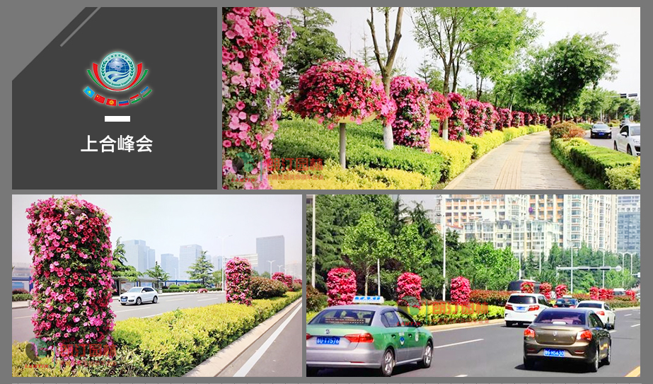 3 青島上合峰會道路綠化案例 3 青島上合峰會道路綠化案例