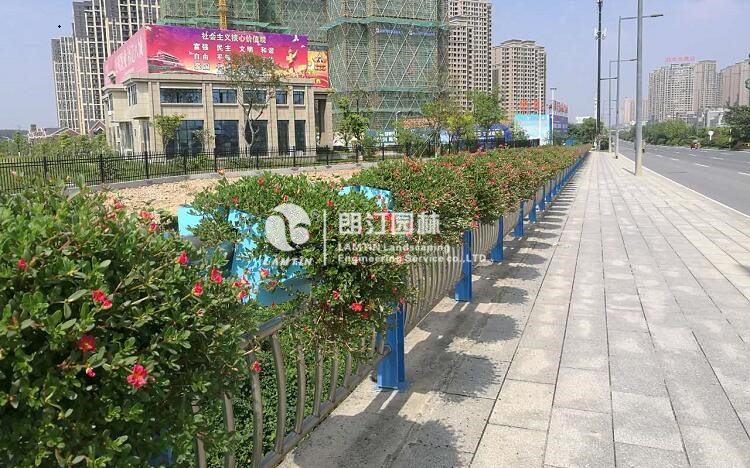 安徽橋梁護(hù)欄景觀提升案例