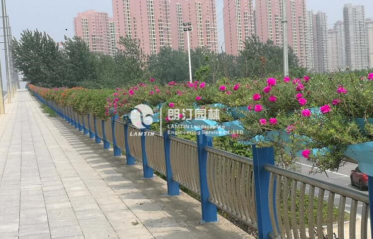 護(hù)欄綠化花盆