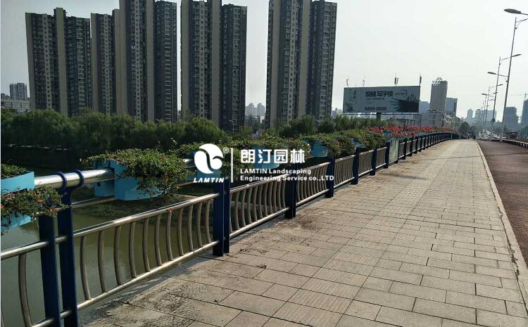 隔離護欄綠化案例