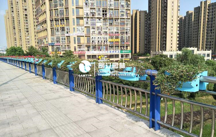 隔離護欄綠化案例