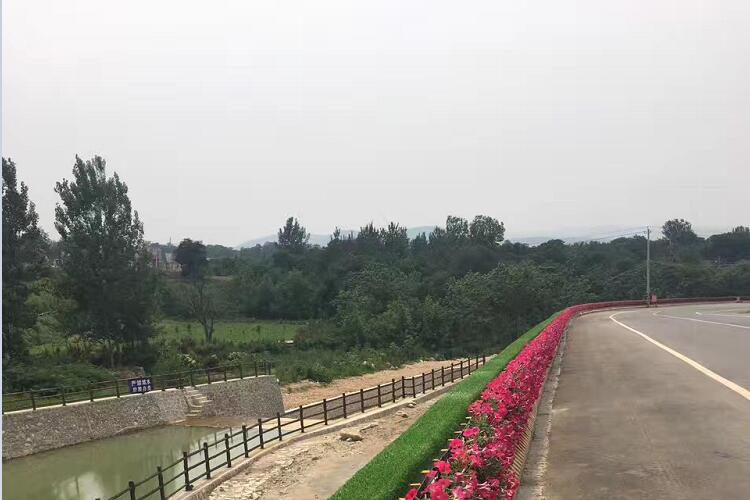 渭南護(hù)欄綠化案例