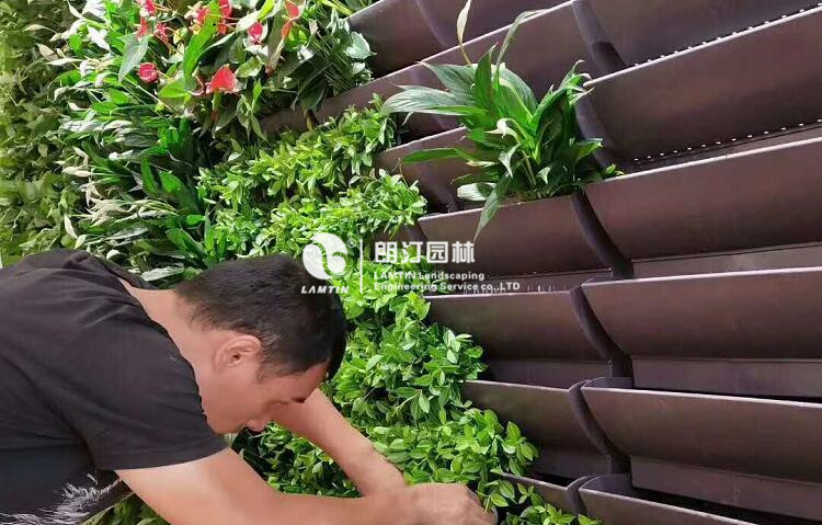 墻體綠化快捷花盆3316植物花卉種植