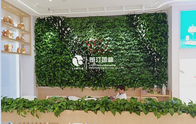 商店室內(nèi)墻體綠化工程案例