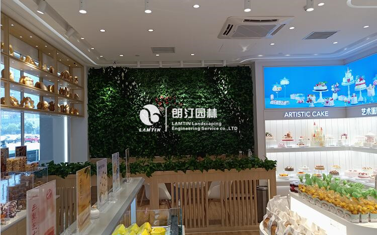 室內(nèi)植物墻效果實(shí)景圖