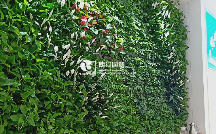 商店室內(nèi)墻體綠化工程案例