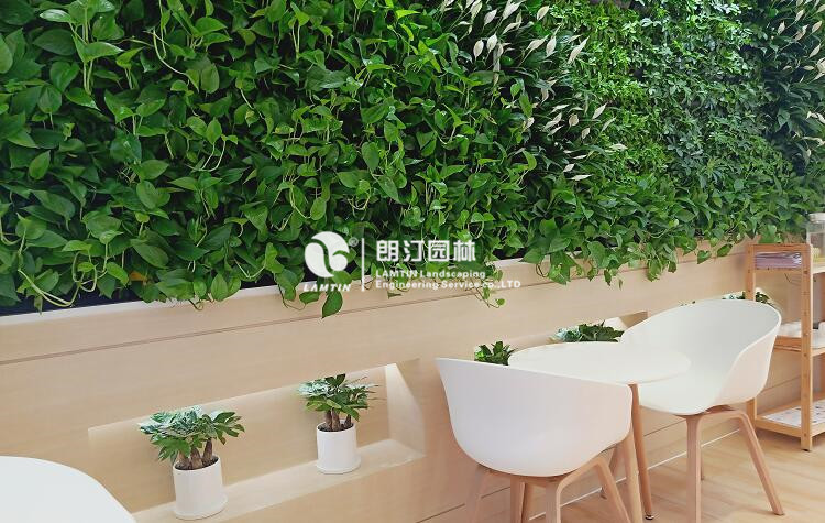 蛋糕店室內(nèi)景觀植物墻