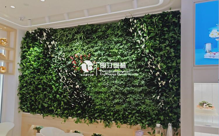蛋糕店室內(nèi)景觀植物墻