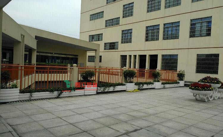 樓頂陽臺露臺綠化種植箱