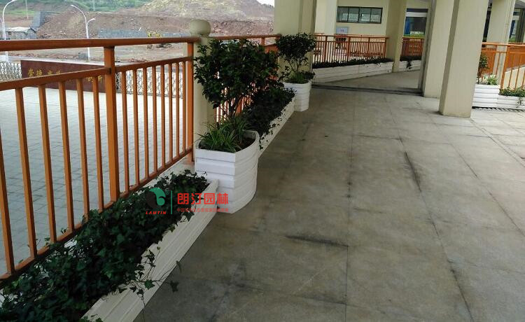 酒店走廊景觀花箱