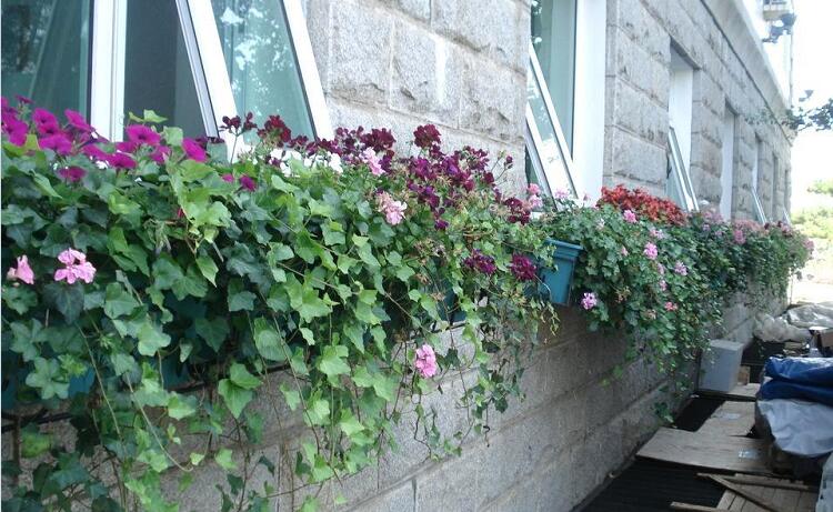 窗臺陽臺綠化箱工程案例