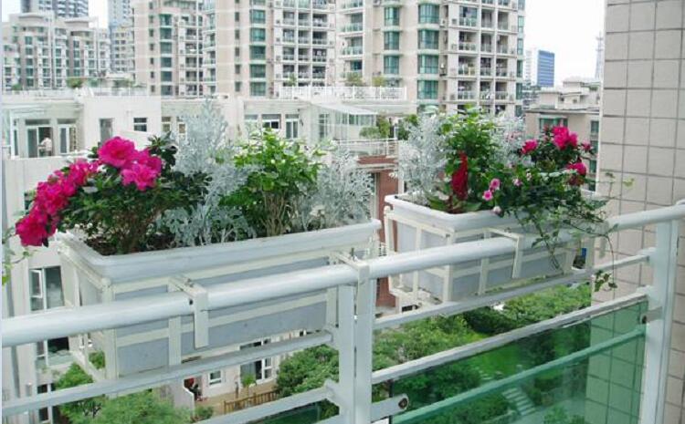高架橋花盆-高層樓房陽臺護欄掛花